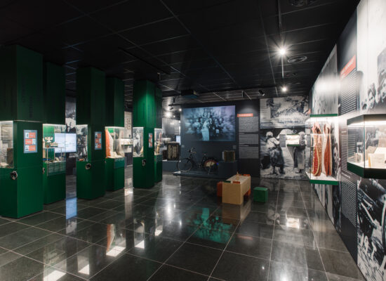 Muzeum Ziemi Lubuskiej zdjęcie 10