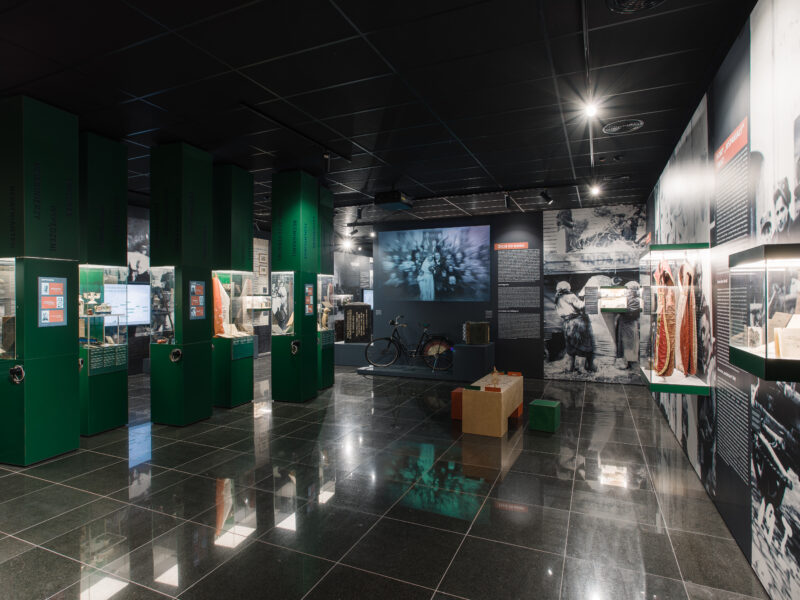 Muzeum Ziemi Lubuskiej zdjęcie 10