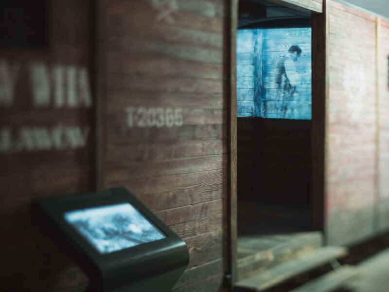 Muzeum Emigracji Gdynia, realizacja AplusV,  zdjęcie 6