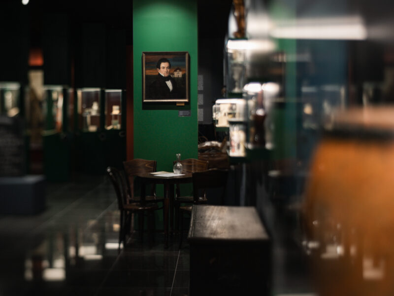 Muzeum Ziemi Lubuskiej zdjęcie 1