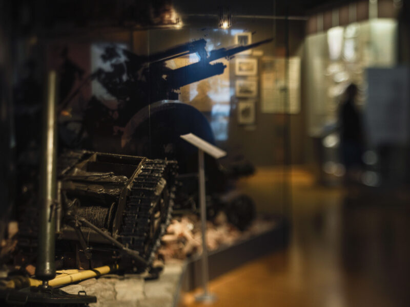 Muzeum Miejskie Wrocławia, realizacja AplusV, zdjęcie 5