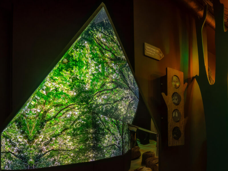 Polsko-Czeskie Interaktywne Muzeum Ziemi Kłodzkiej, zdjęcie 6