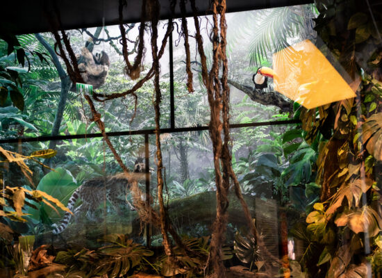 image deco: Large-format Video Walls
